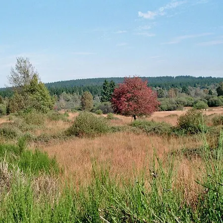 Waldhaus Anne בית נופש Schmidt