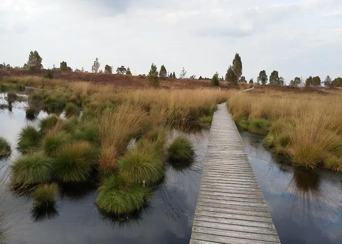 Waldhaus Anne Simmerath