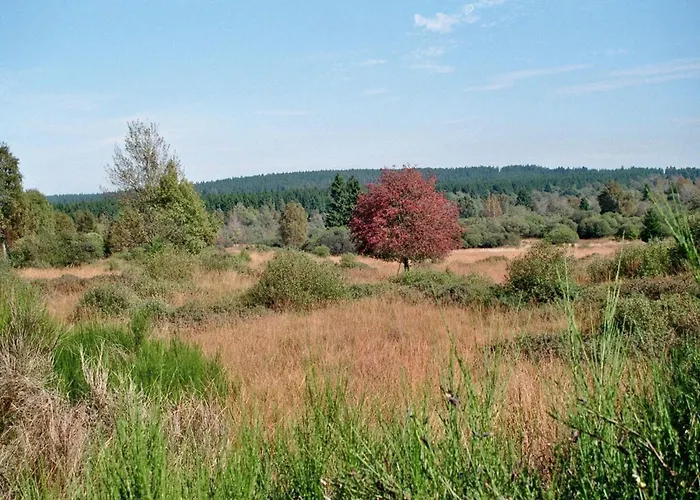 Waldhaus Anne Casa vacanze Simmerath